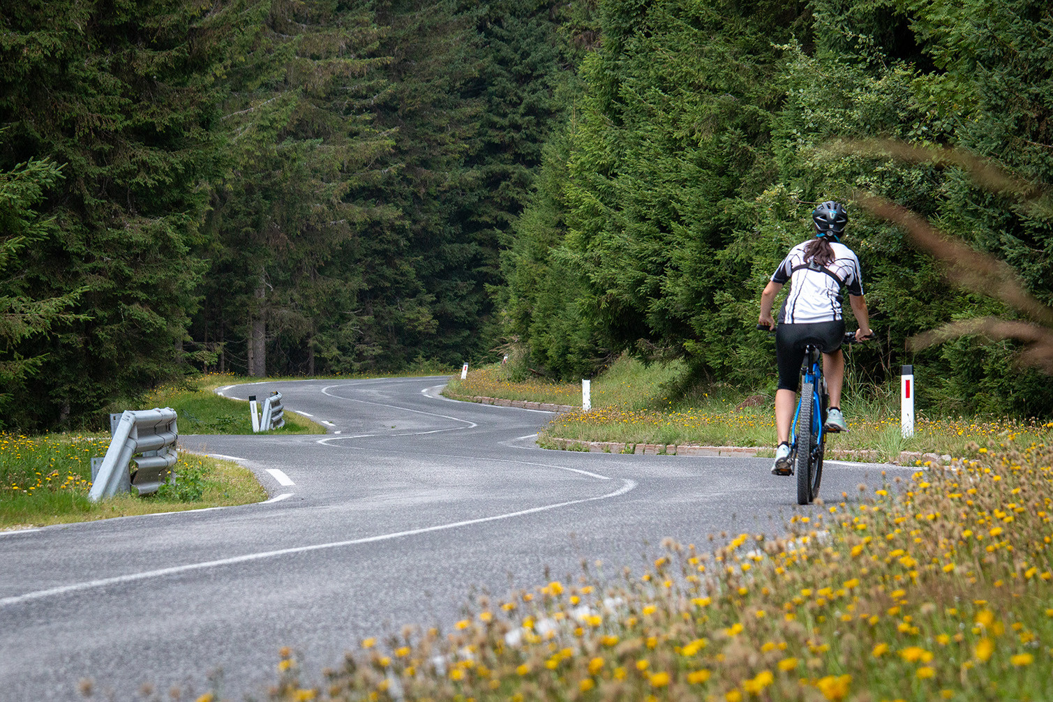 Rogla Pohorje Cycling Slovenia Green Matevz Hribar 211
