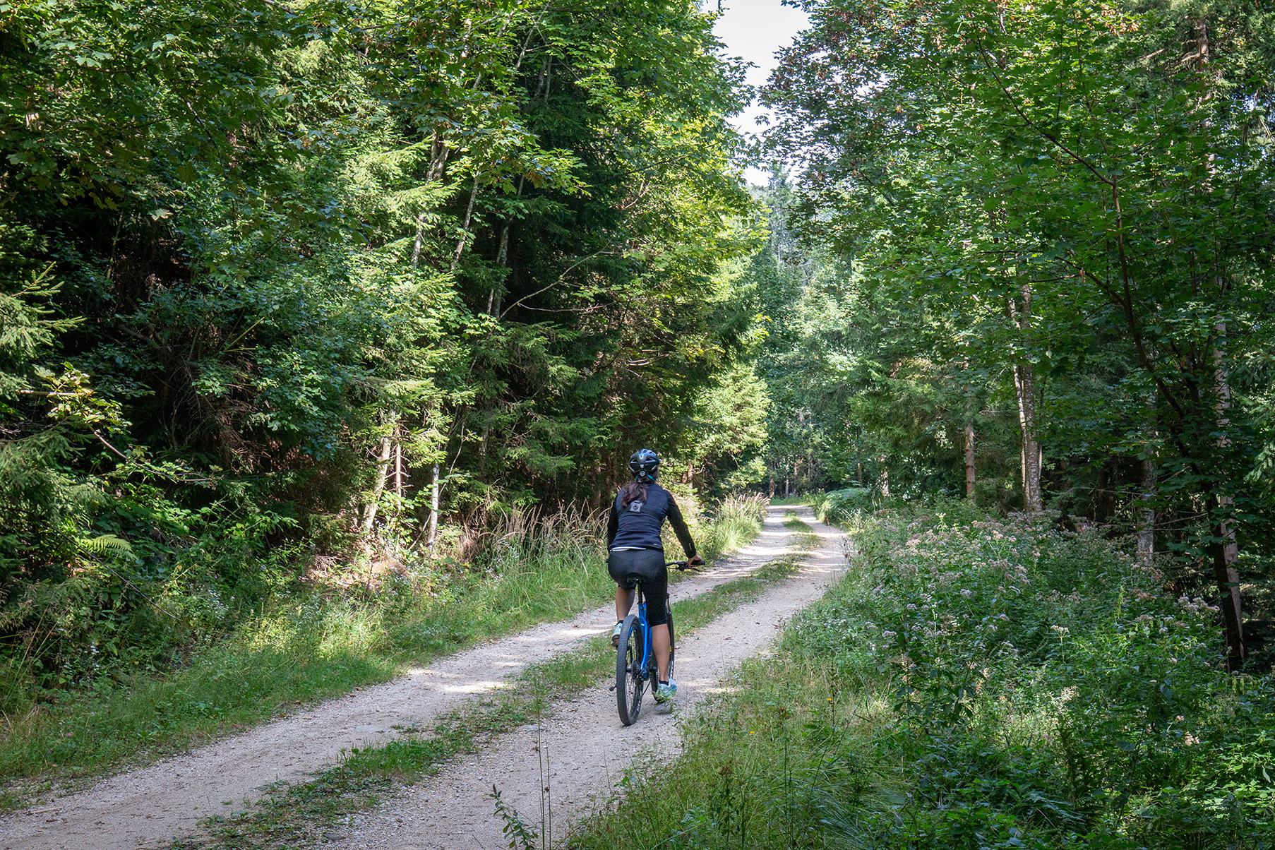 Kako je označena kolesarska pot?
