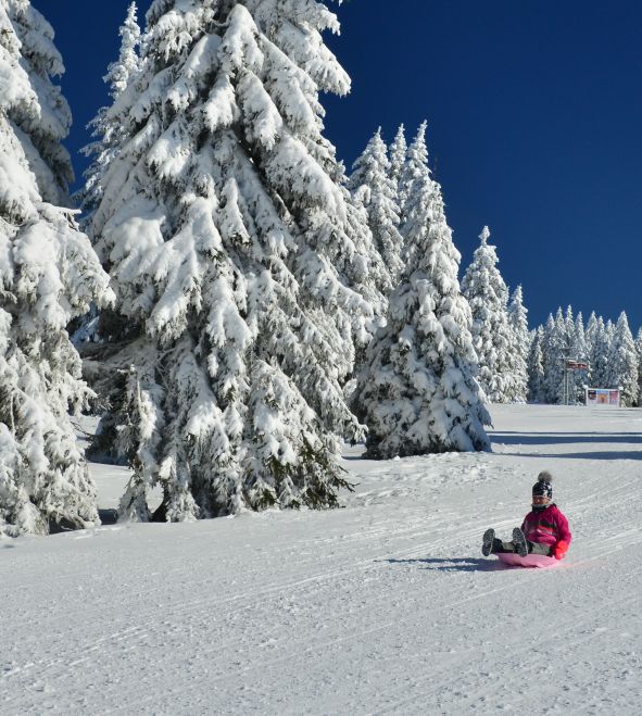 Ostale zimske aktivnosti