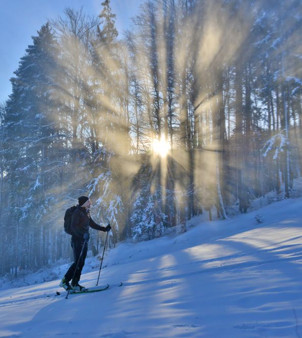 Ski touring