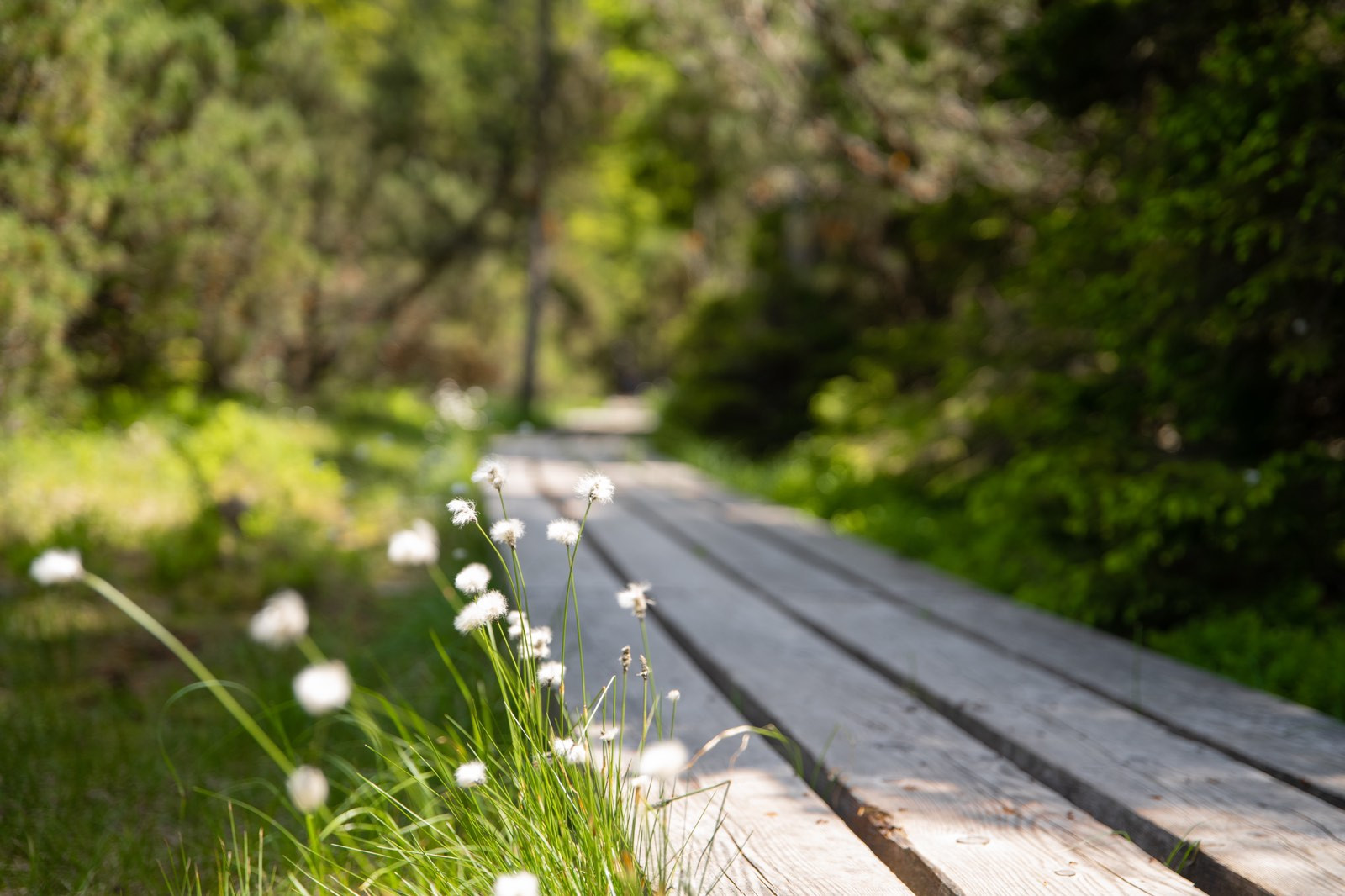 Crno Jezero Klara Kulovec 16
