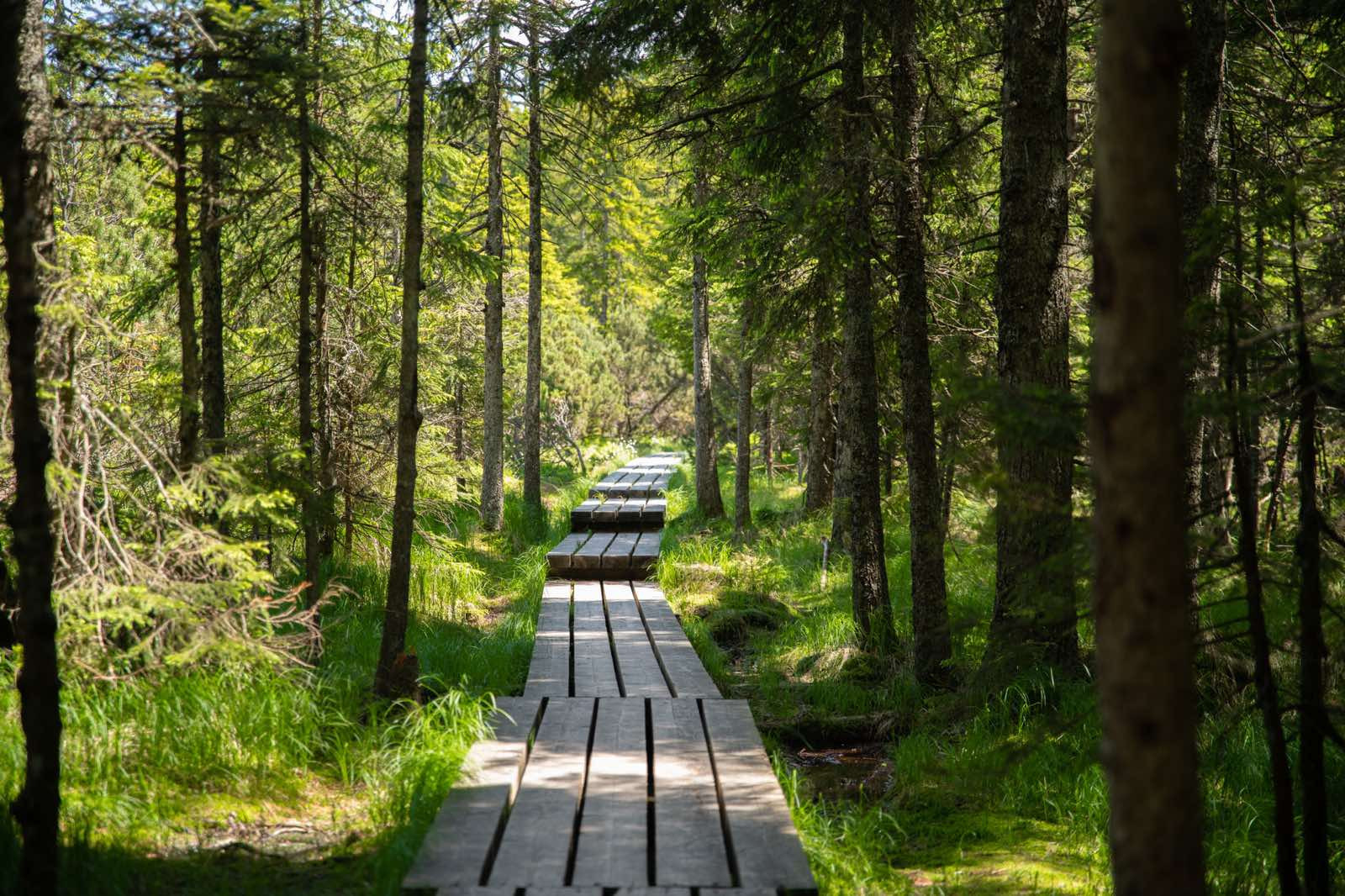 Crno Jezero Klara Kulovec 17