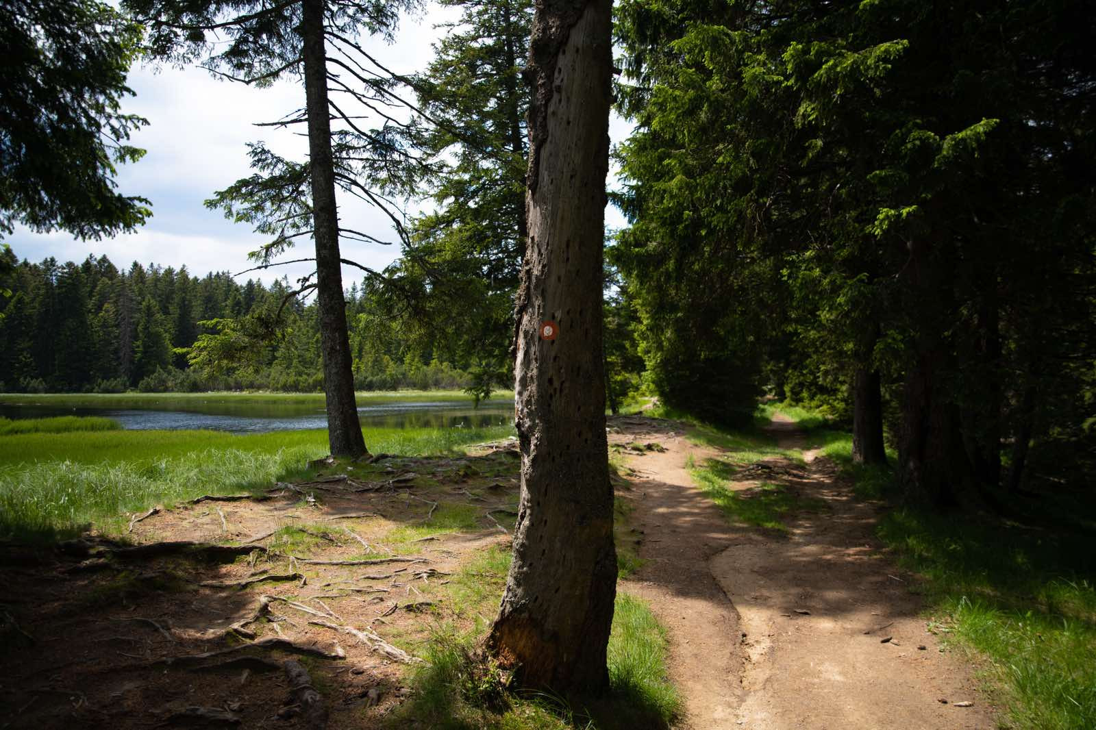 Rno Jezero Klara Kulovec 10