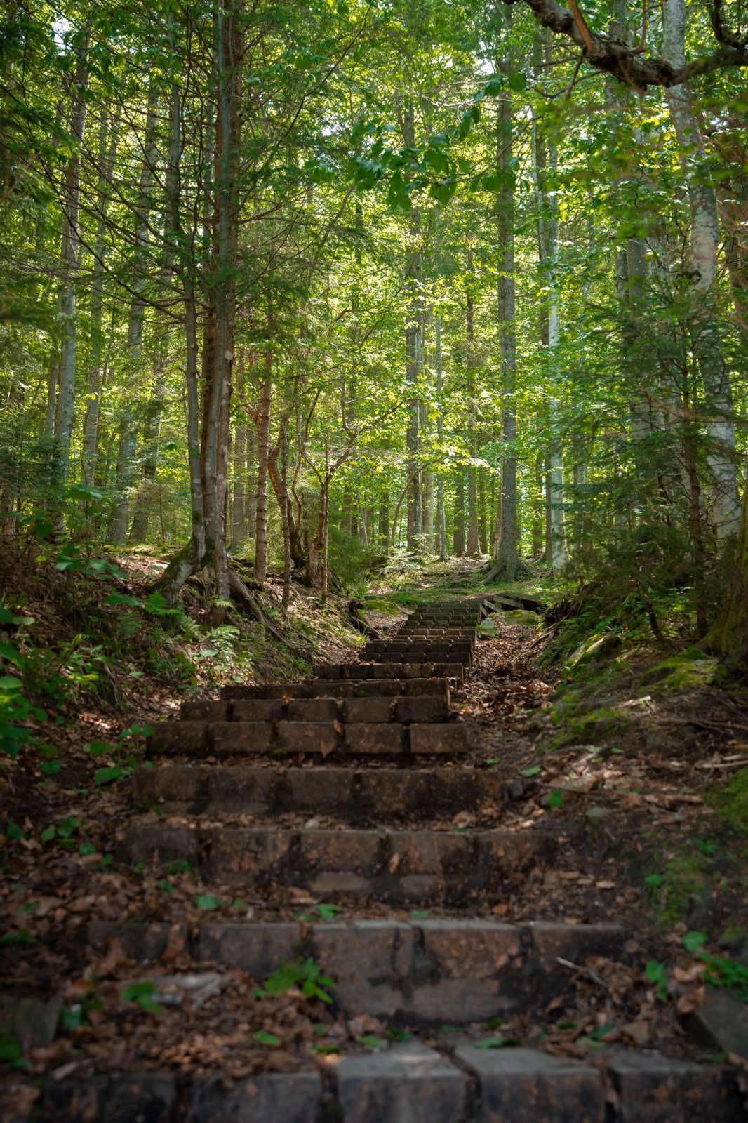 Rno Jezero Klara Kulovec 30