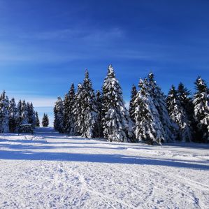 Ribnisko Pohorje Pohorje Slovenija
