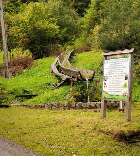 Gozdna učna pot Kapelvald