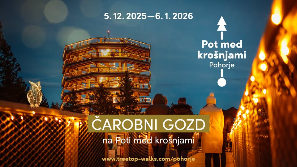 Čarobni gozd na Poti med krošnjami Pohorje