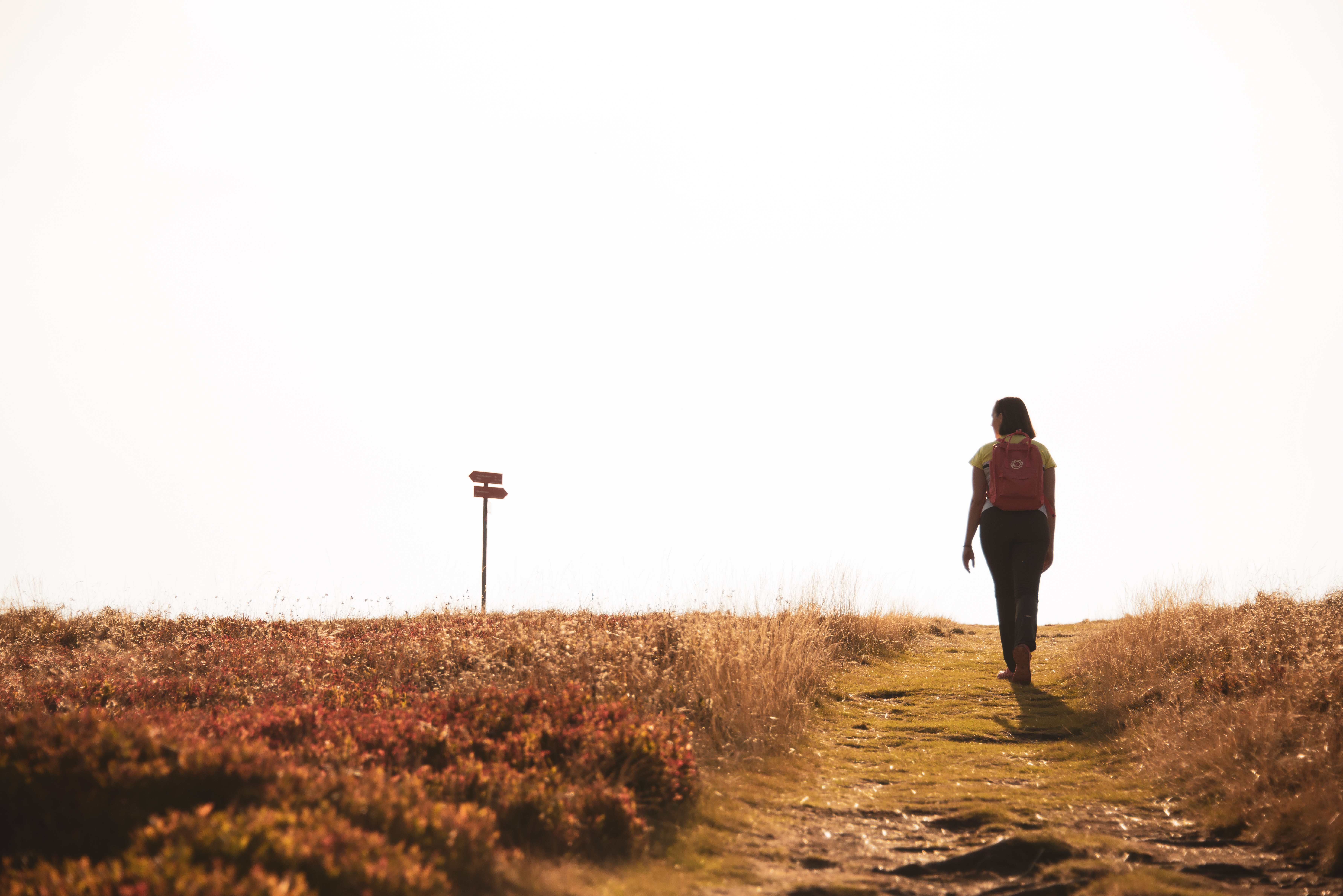 Pohodnistvo Jezerski Vrh Pohorje Slovenija Klara Kulovec 7