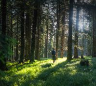 SPP: Klopni vrh – Koča na Pesku