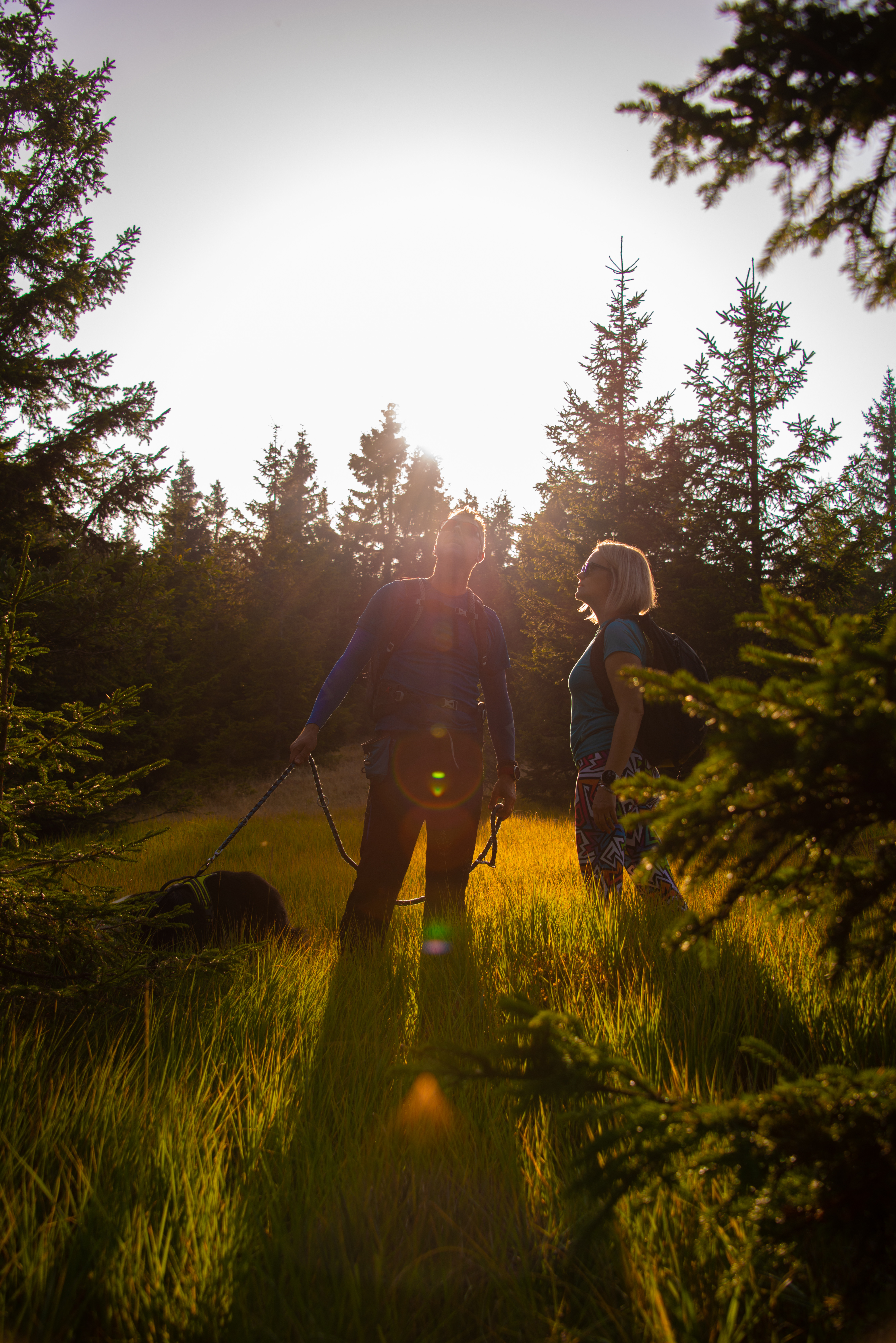 Pohodnitvo Med Jezerskim Vrhim In Ribnikim Jezerom Pohorje Slovenija Klara Kulovec 10