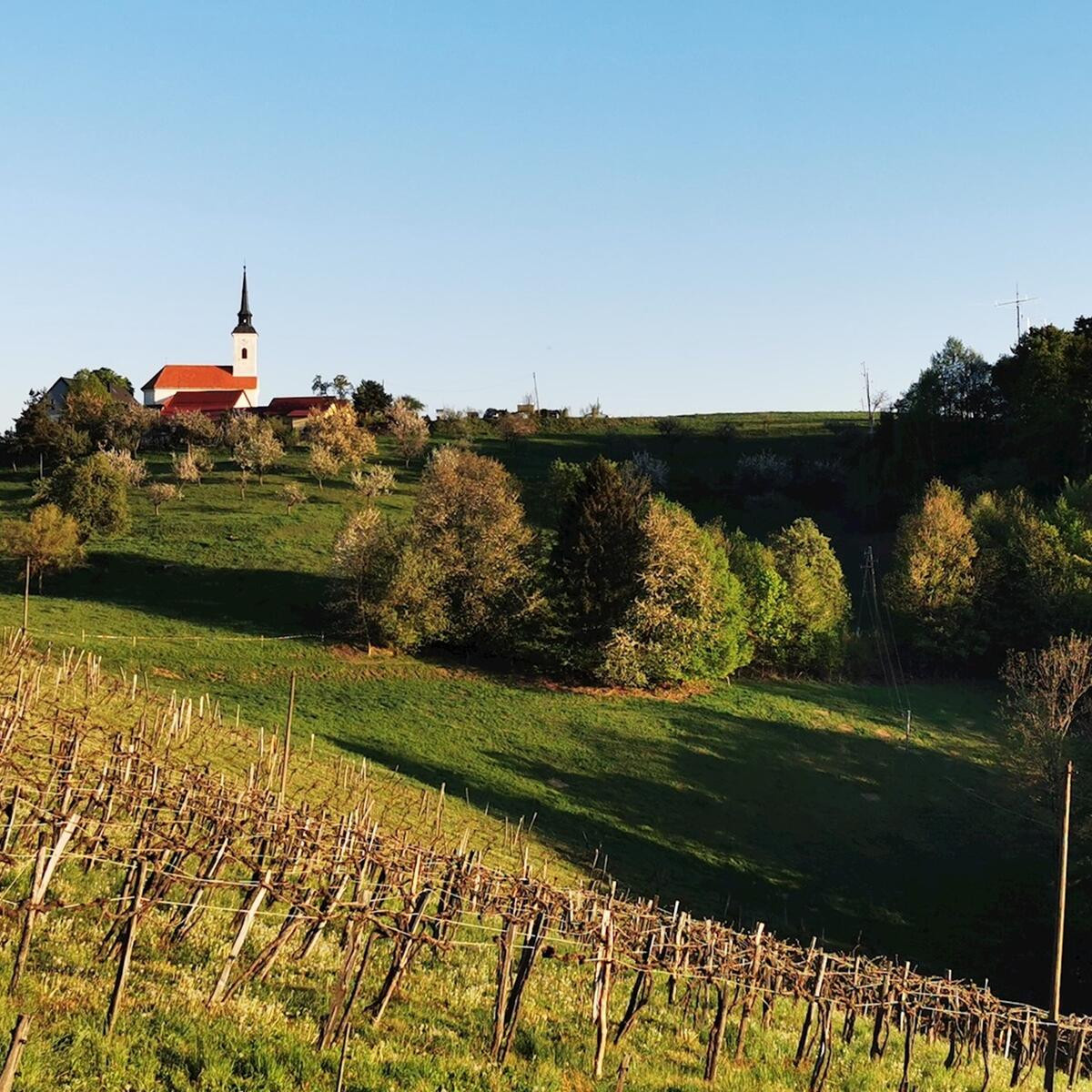 Kozjaška kolesarska transverzala KT