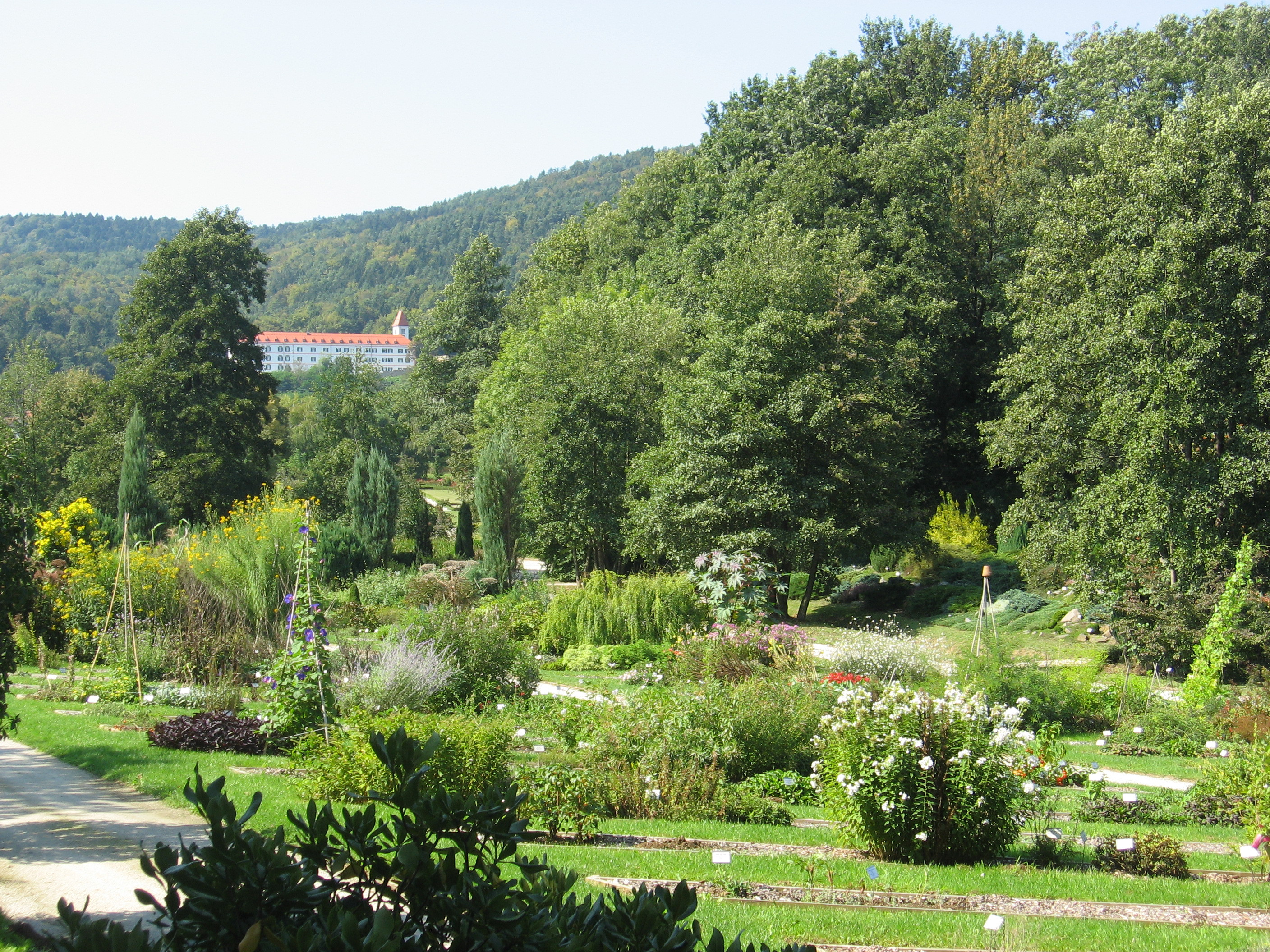 Botanični vrt UM -  Img 5334