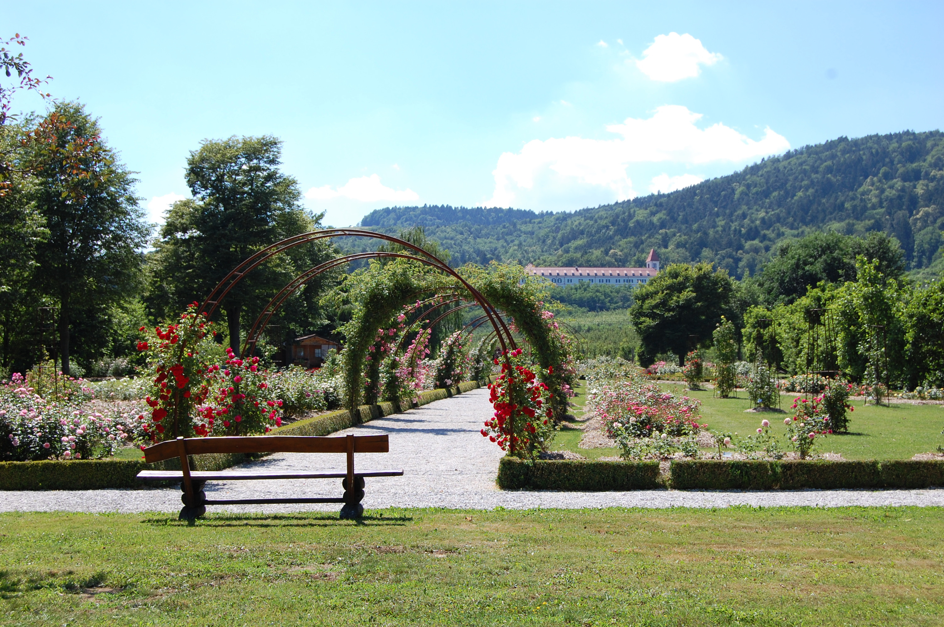 Poletna ponudba v botaničnem vrtu
