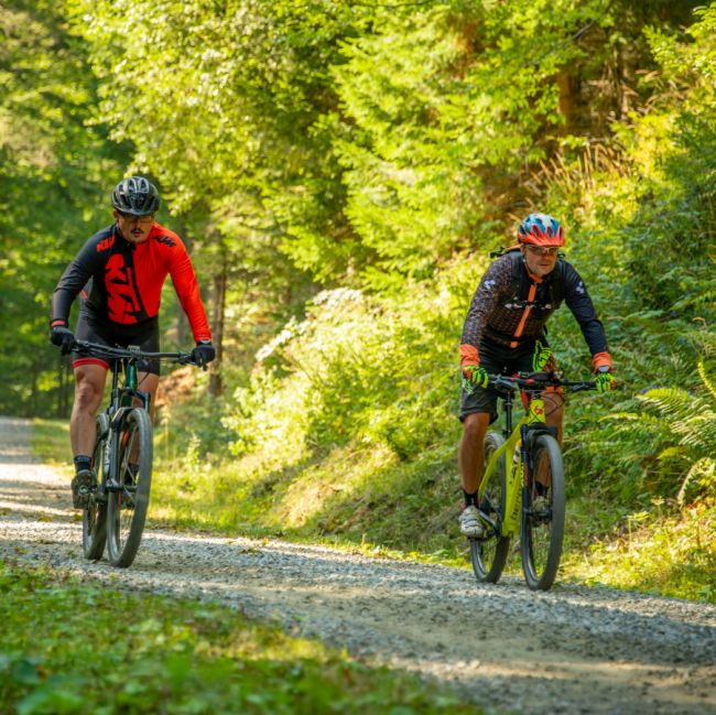 Pohorje - atraktivna kolesarska destinacija