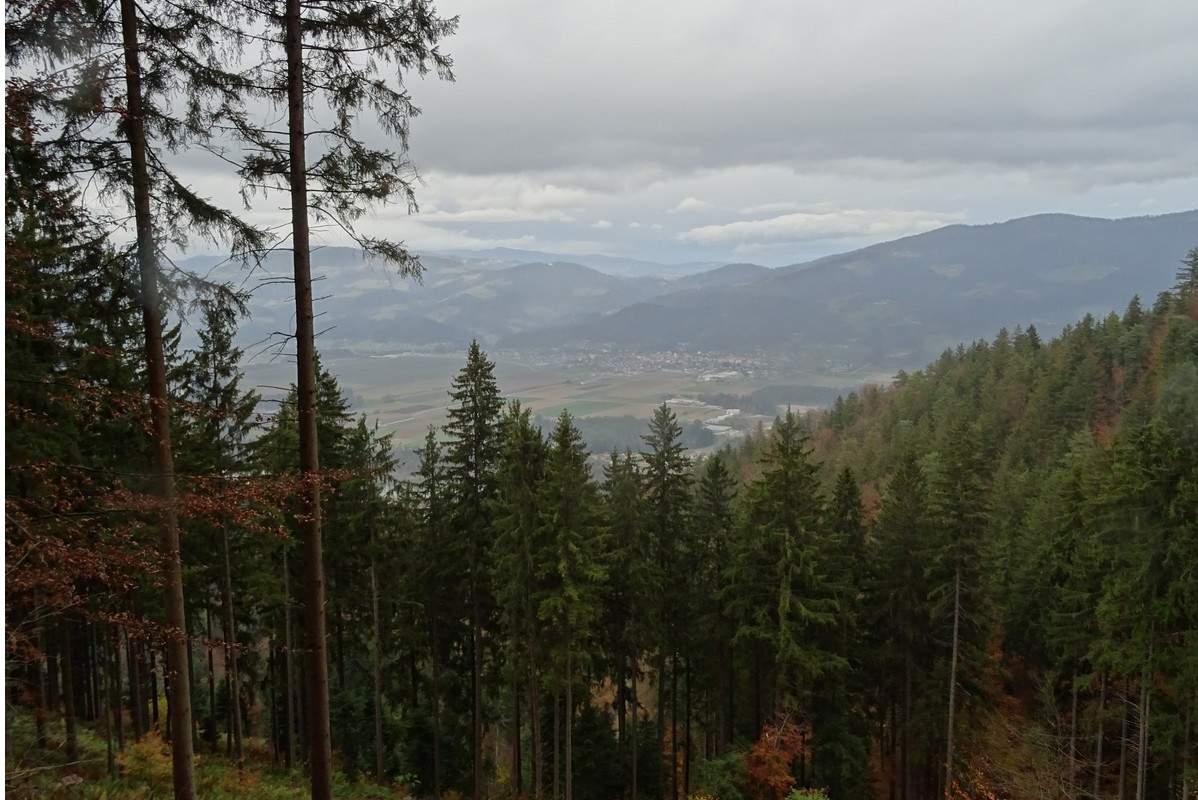 barnikov vrh Barnik_pespot 1