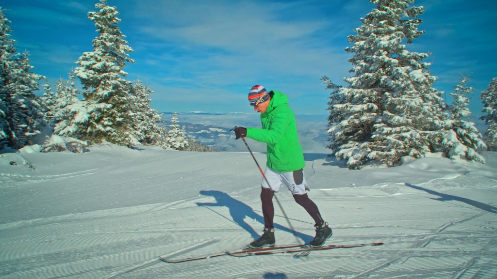 Tekaške proge na Kopah
