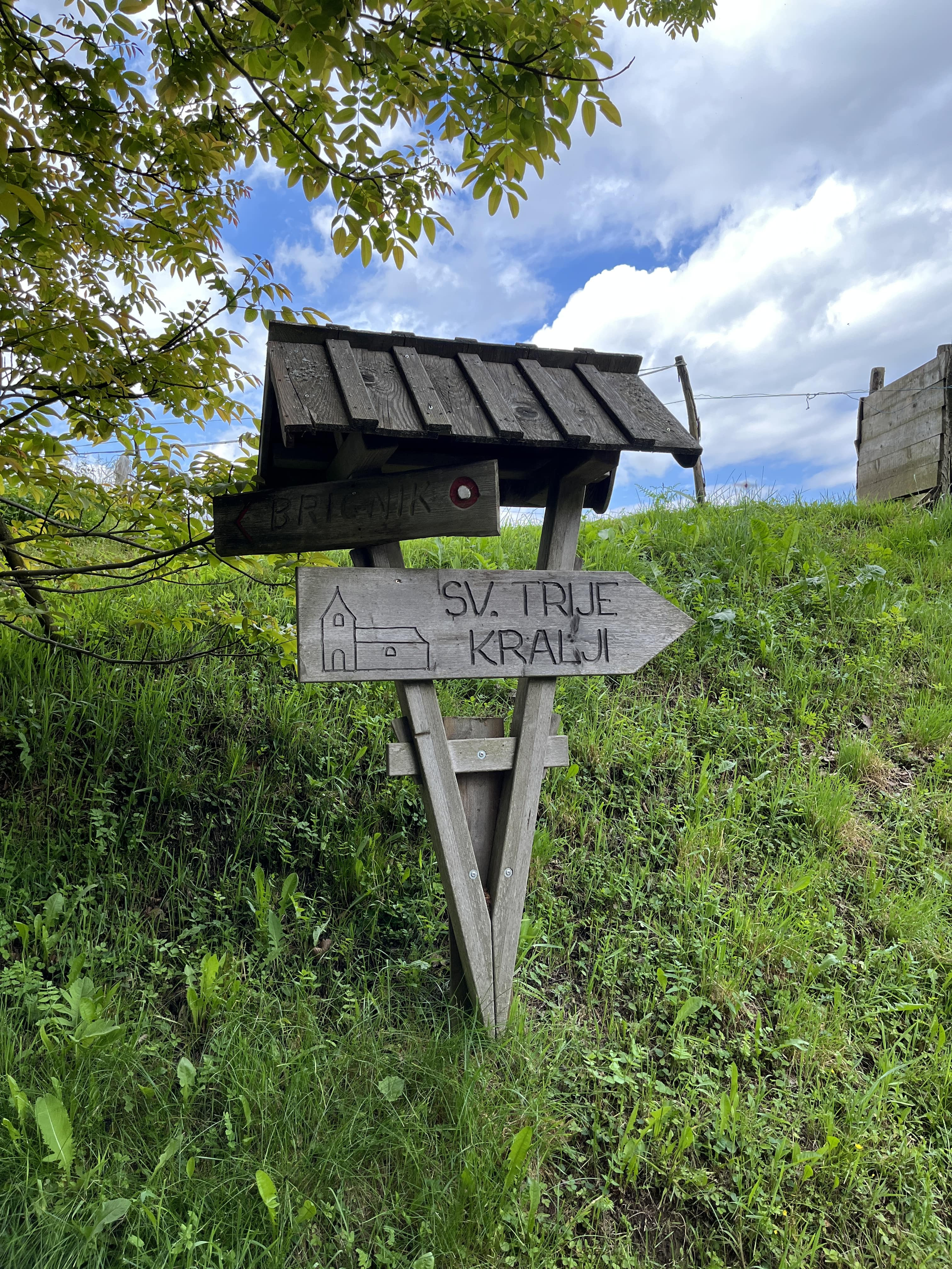 Pohorje – Kozjak Trail: Etapa 15 Sveti Primož-Radeljski potok