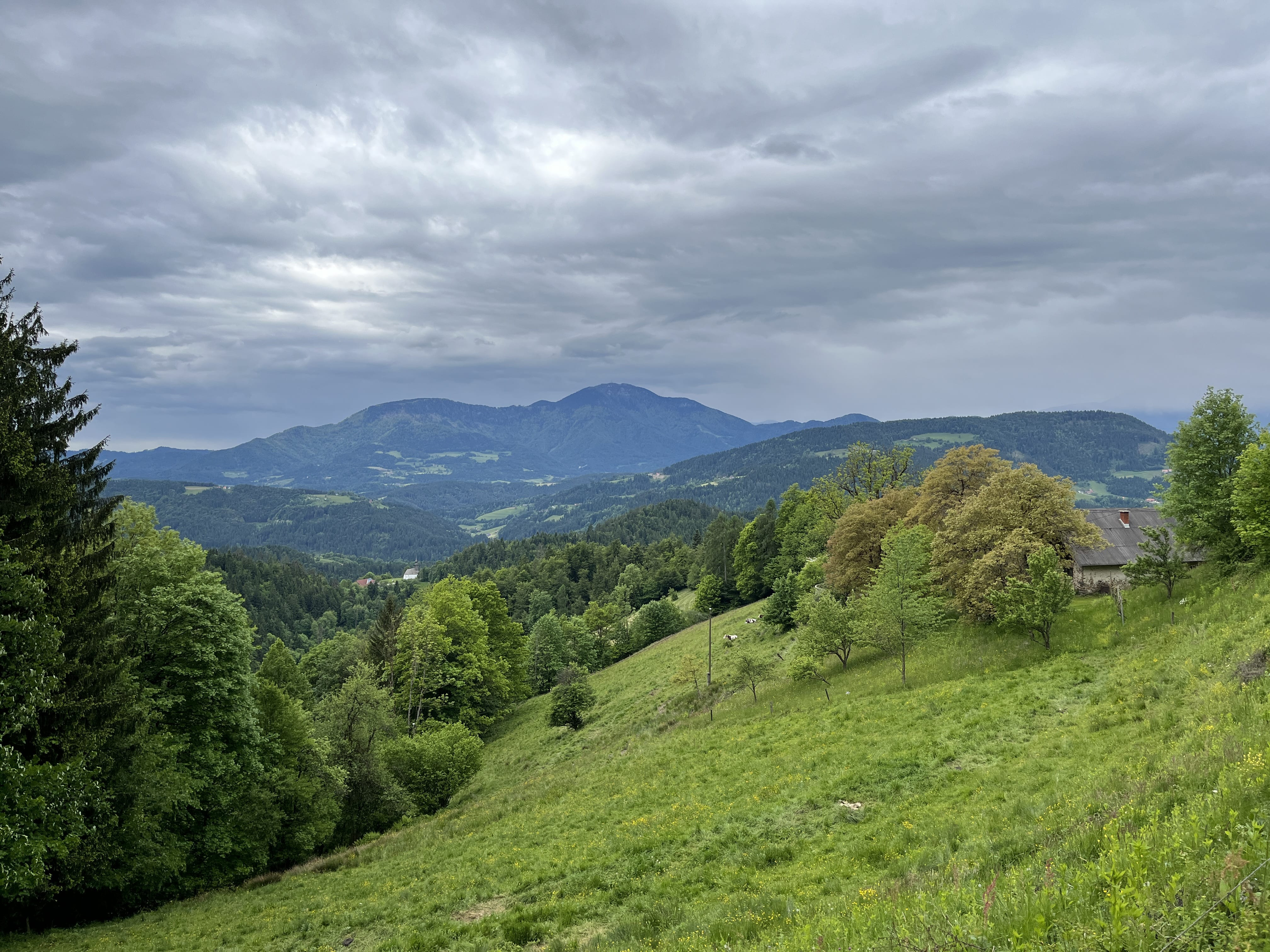 Pohorje – Kozjak Trail: Etapa 10 Koča pod Kremžarjevim vrhom-Dravograd (Meža)