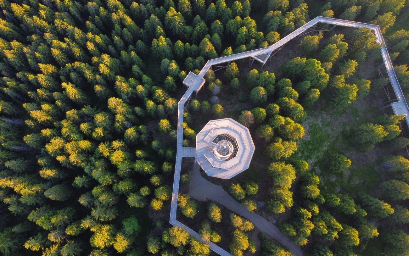 Pot med krošnjami Rogla Pohorje Slovenija