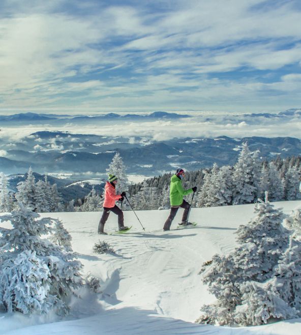 KOROŠKA