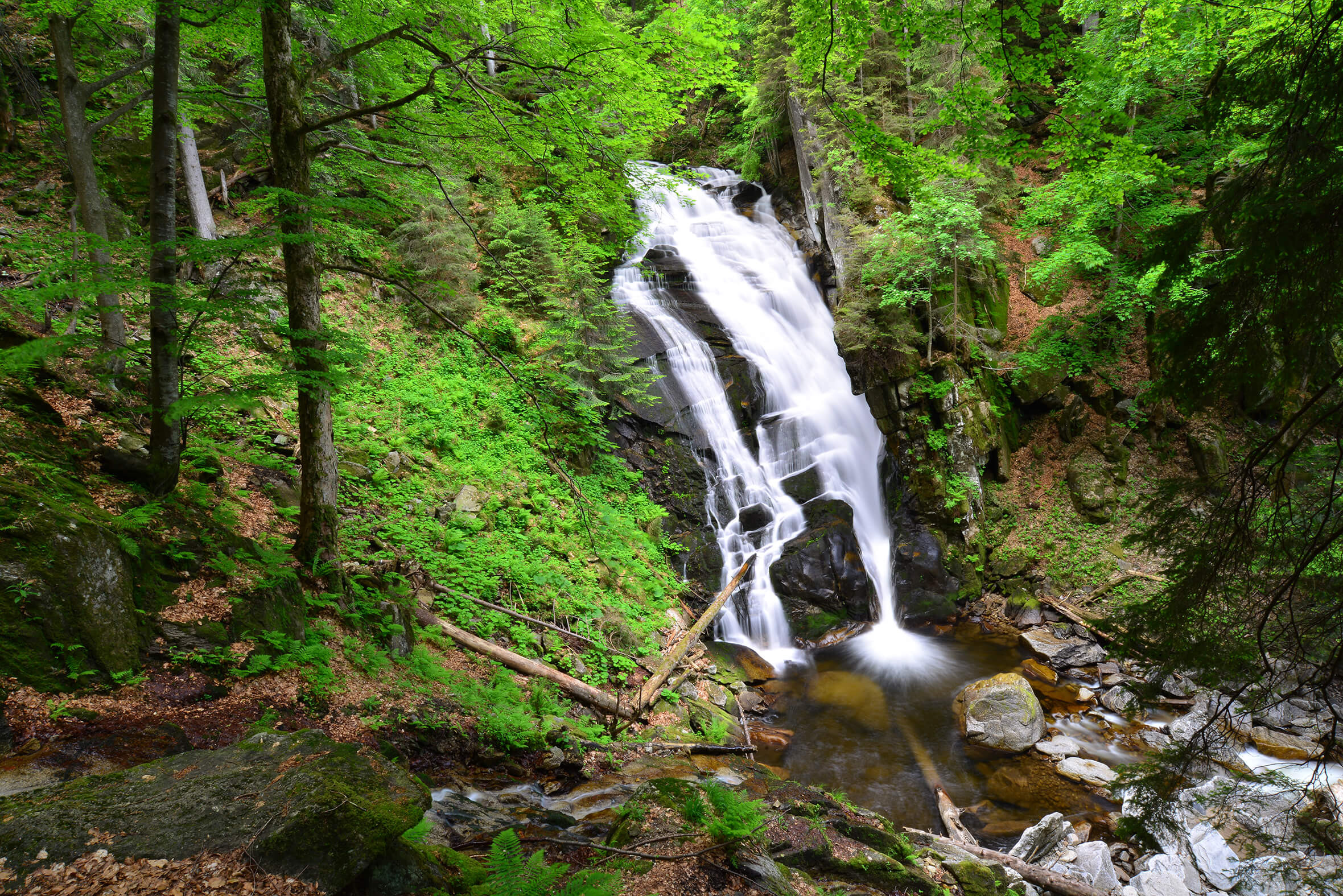 SPP: Ruša koča - slap Šumik