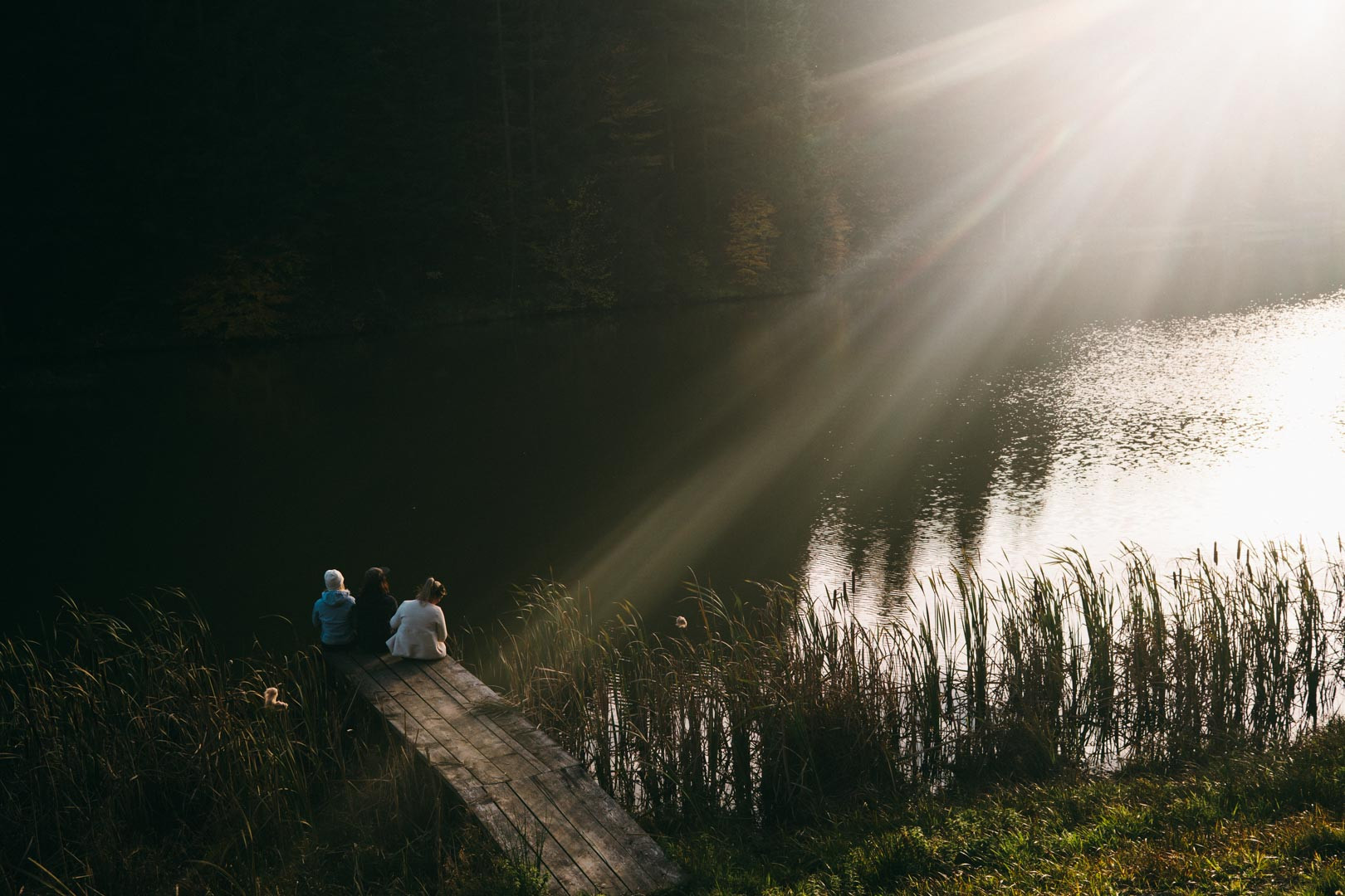 Opisi Trase In Posameznih Etap Na Wwwpohorje Slovenija Si