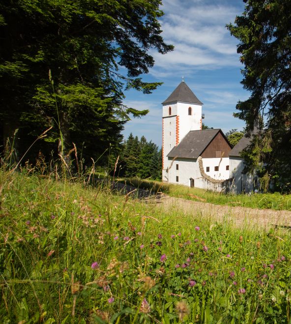 Cerkev sv. Bolfenka