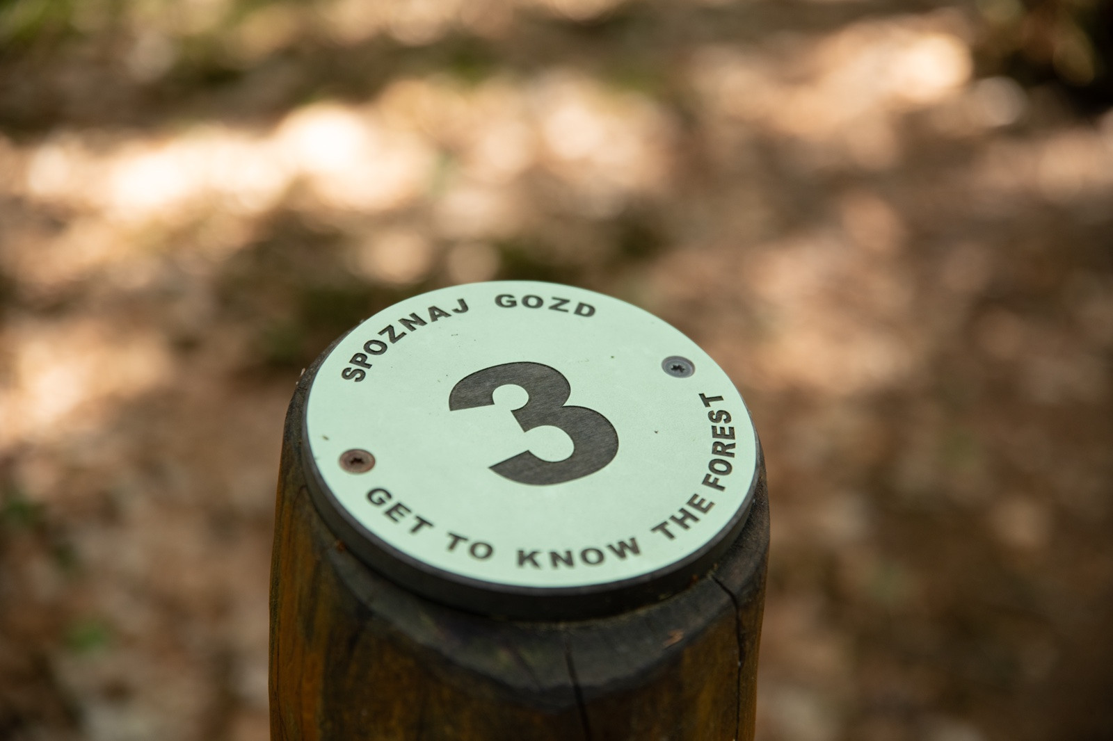 Gozdna Una Pot Rno Jezero Klara Kulovec 10