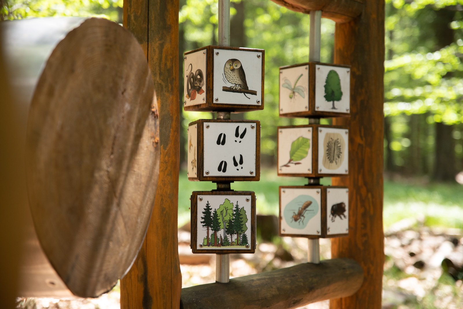 Gozdna učna pot Črno jezero