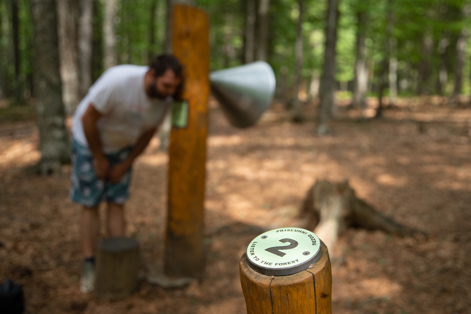 Gozdna Una Pot Rno Jezero Klara Kulovec 9