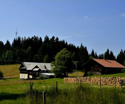 Sršenov vrh