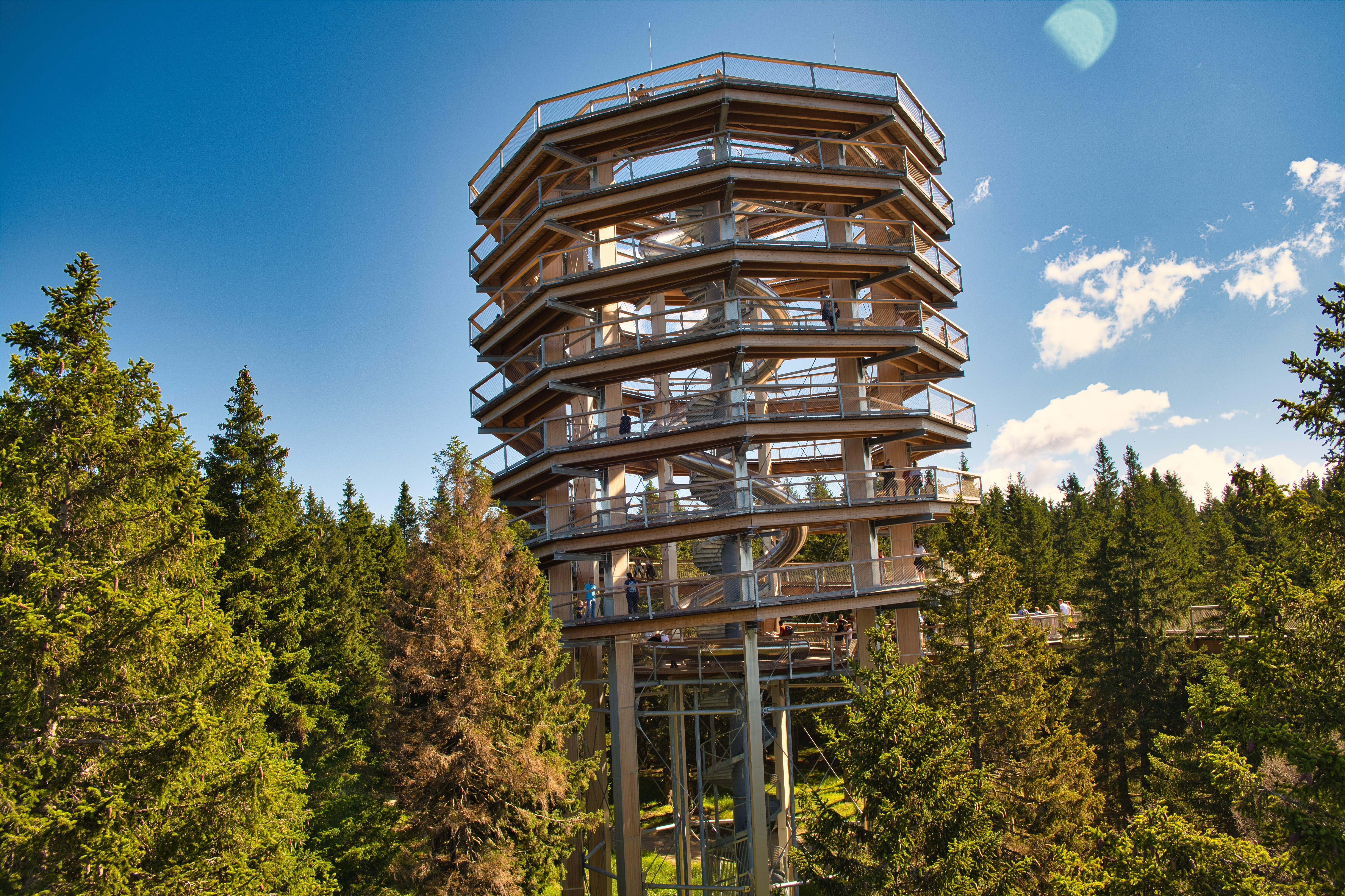 Tomo Jeseninik Pot med krošnjami