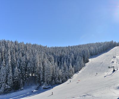 Rogla