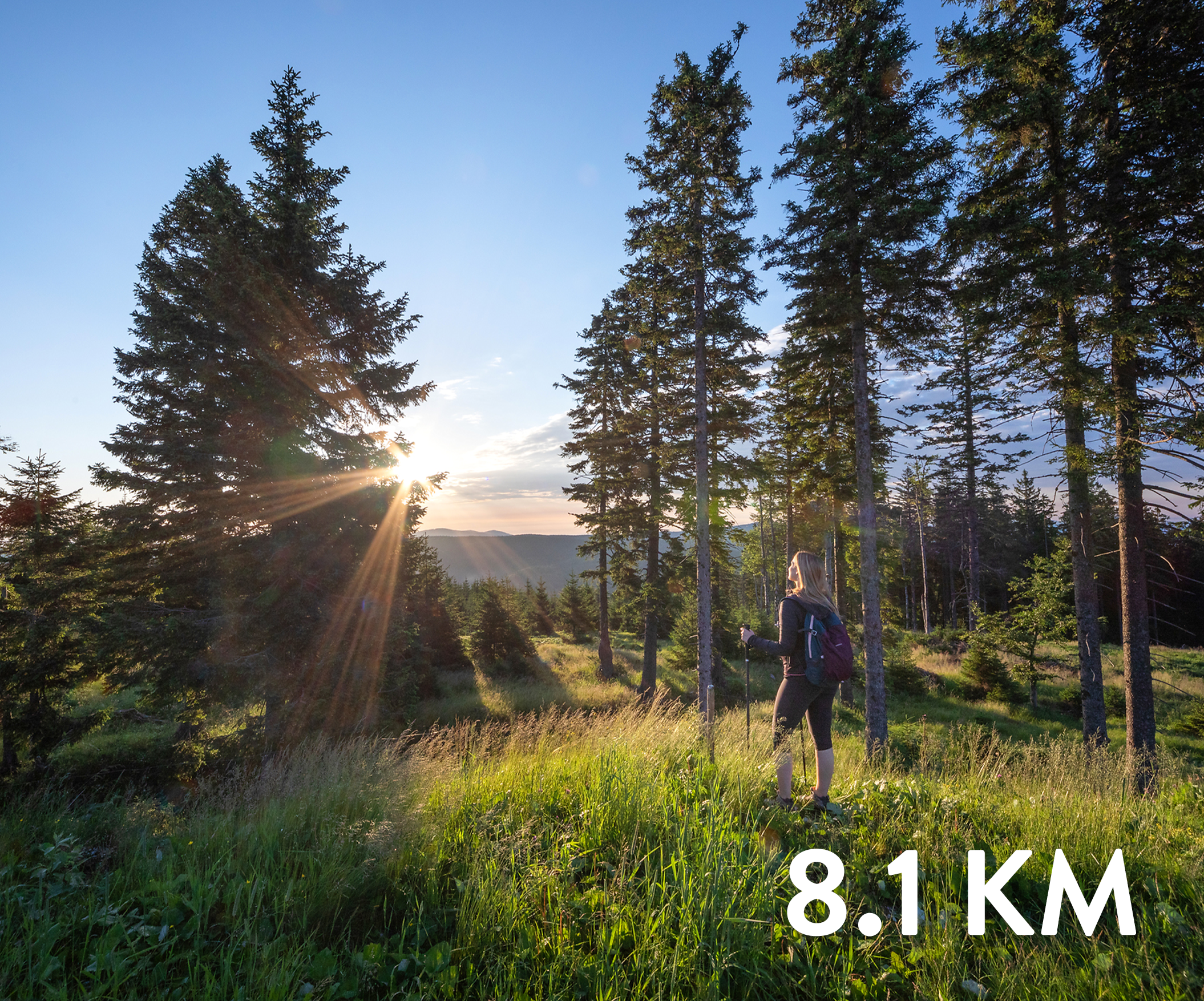 SPP: Grmovškov dom pod Veliko kopo - Kremžarjev vrh