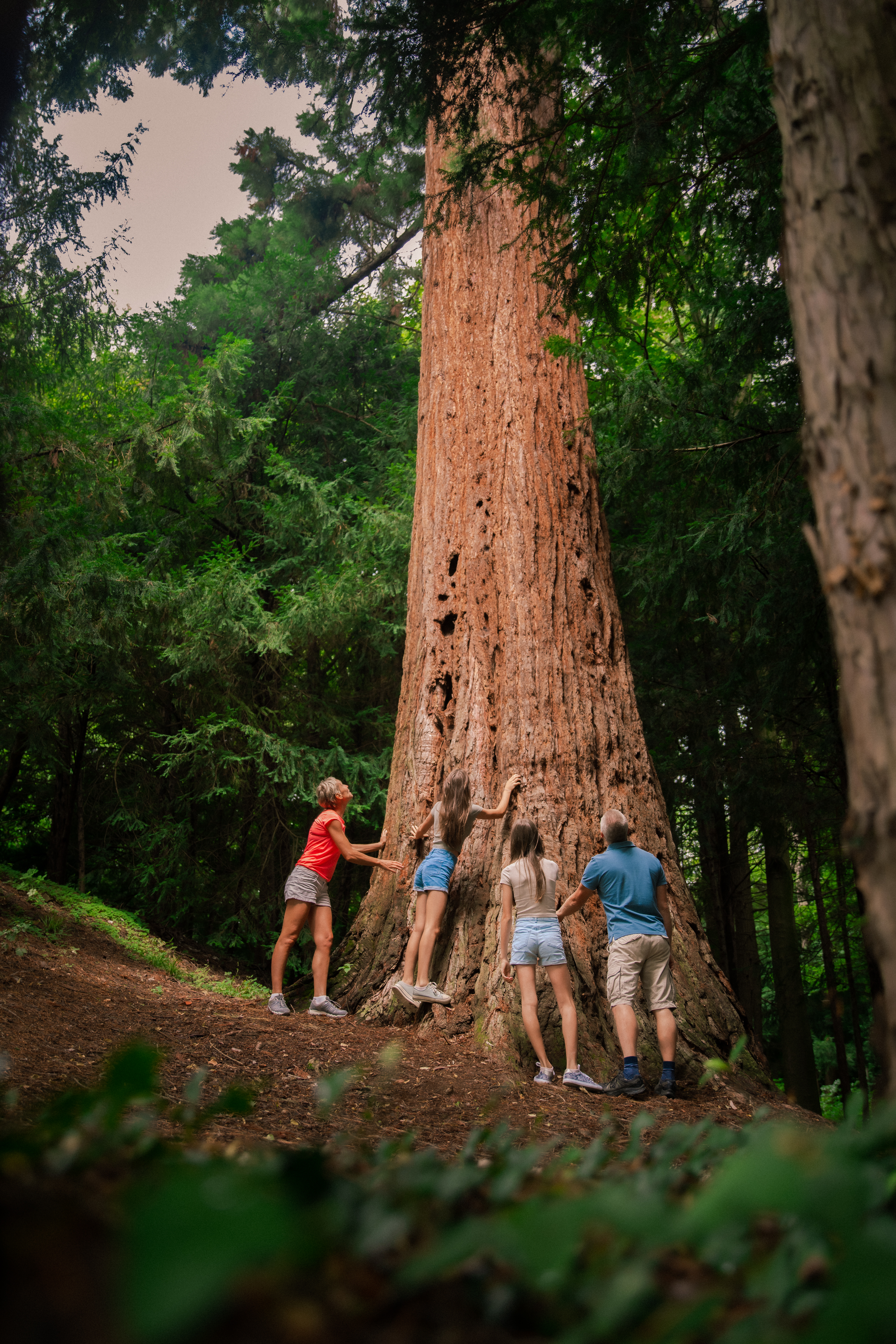 Botanicni Vrt Univerze V Mariboru Pohorje Slovenija Klara Kulovec 16