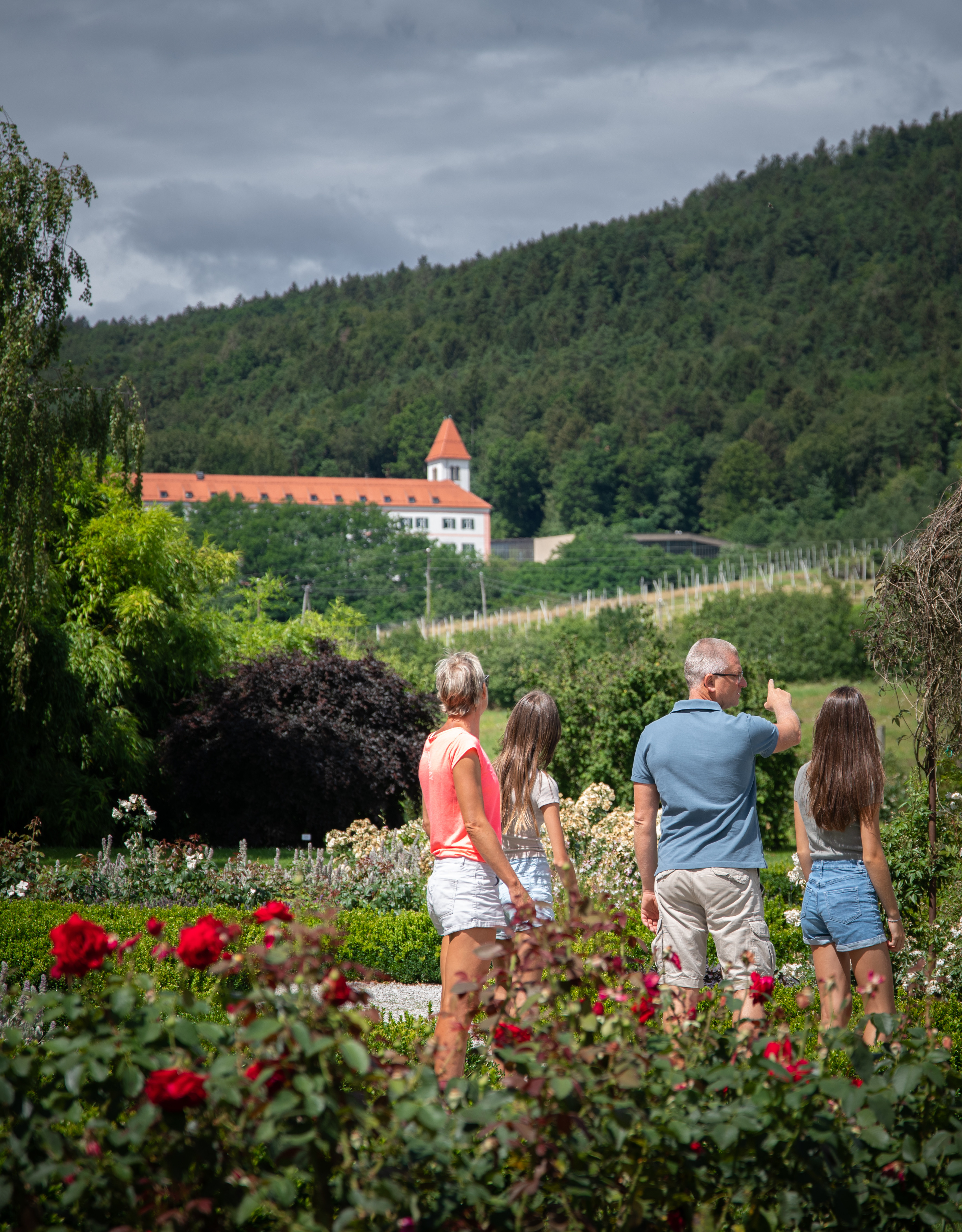 Botanini Vrt Univerze V Mariboru Pohorje Slovenija Klara Kulovec 18