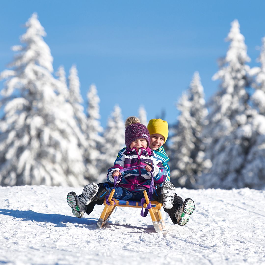 Native Paketi Rogla 2 Mere