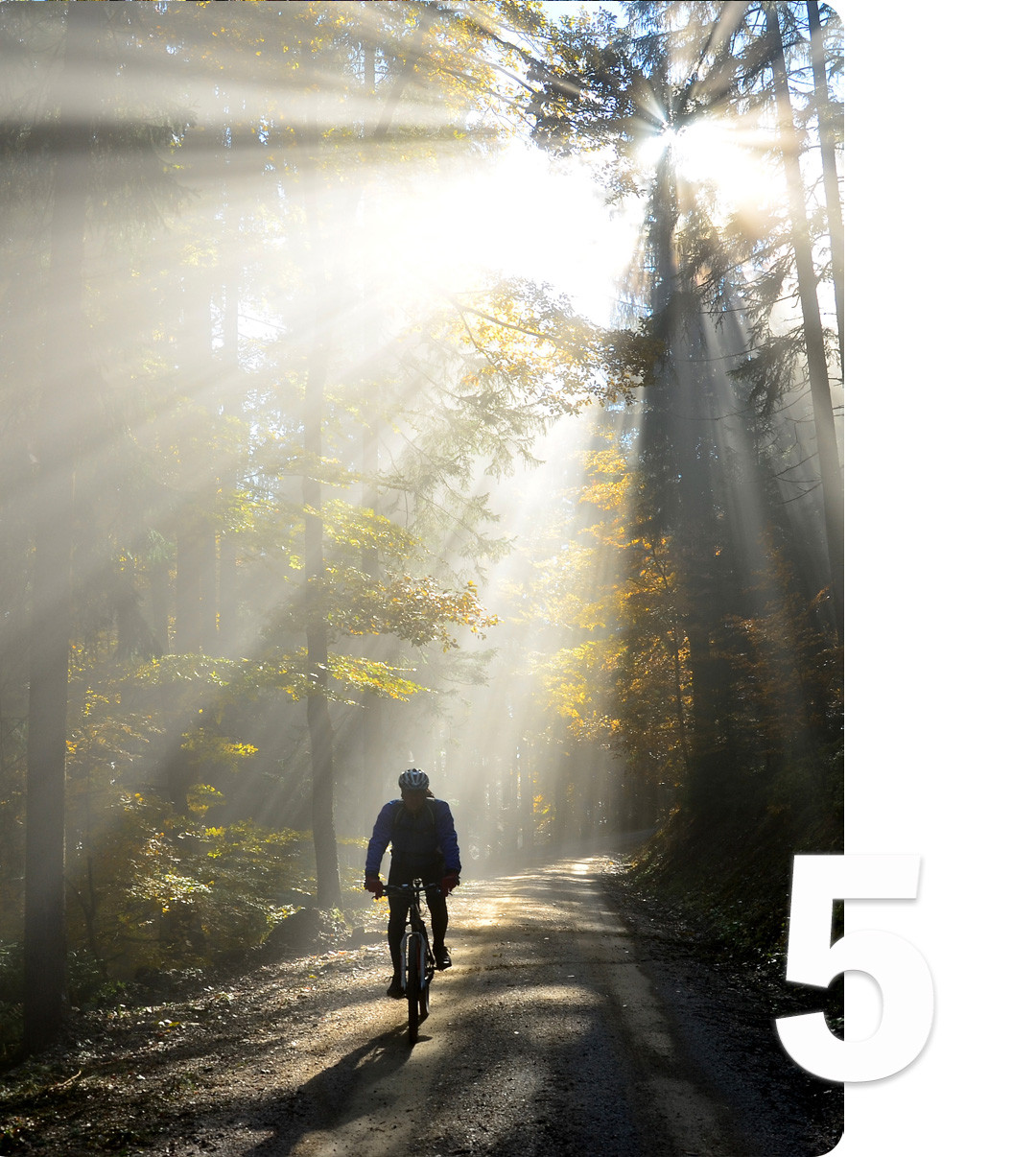 Kolesarske poti med jesenskimi odtenki