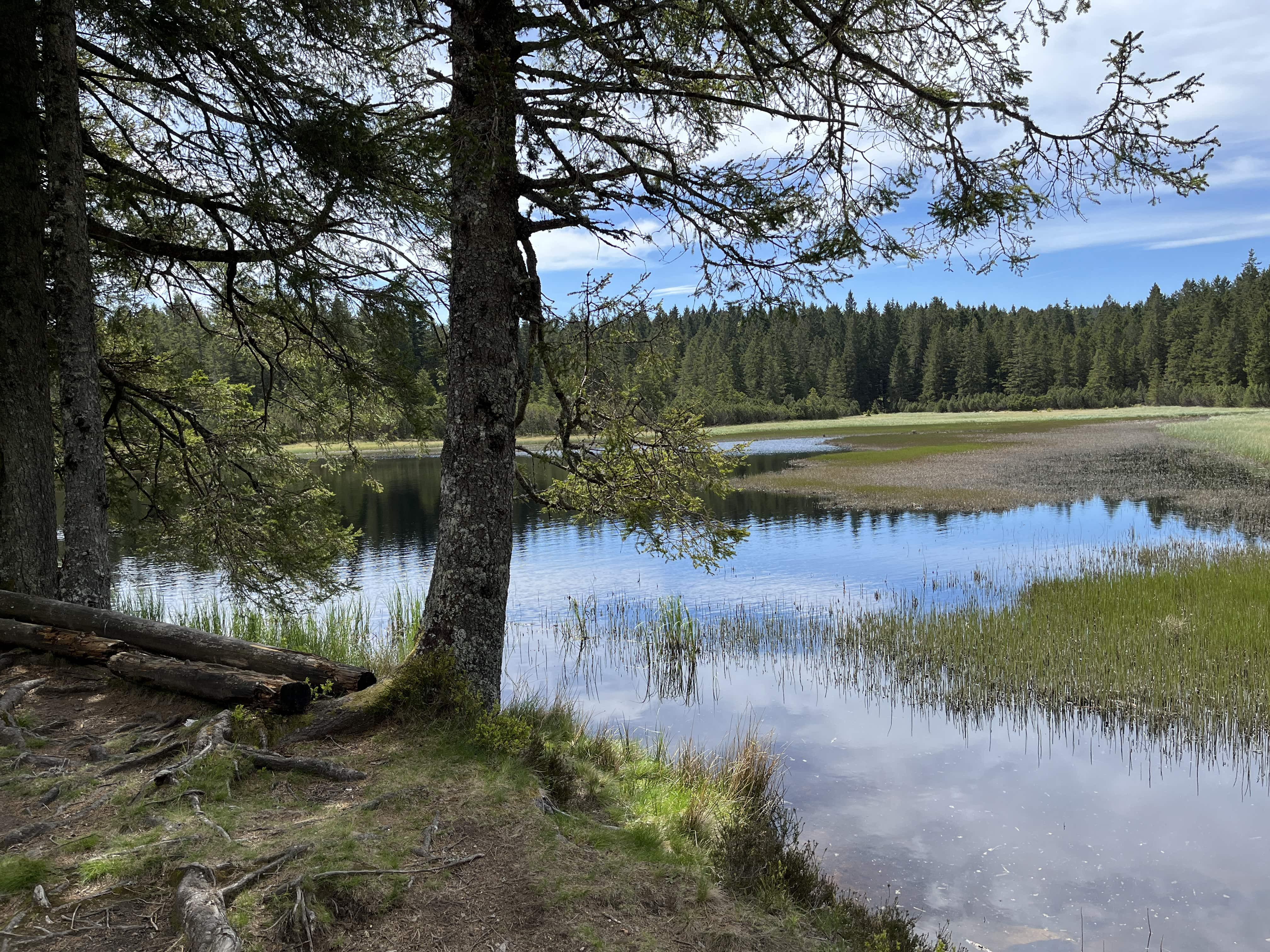 Pohorje – Kozjak Trail: Etapa 4 Bajgot-Trije kralji