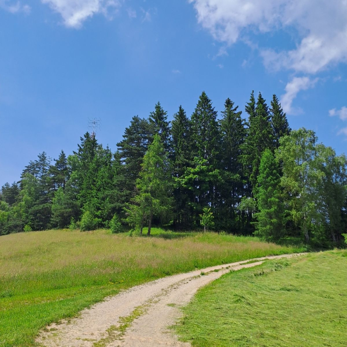 Srenov Vrh 133e756fba29d2