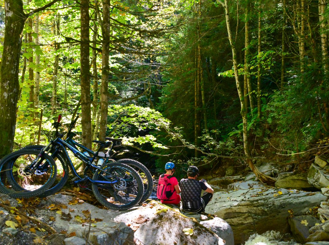 Ni kolesa? Ni panike!