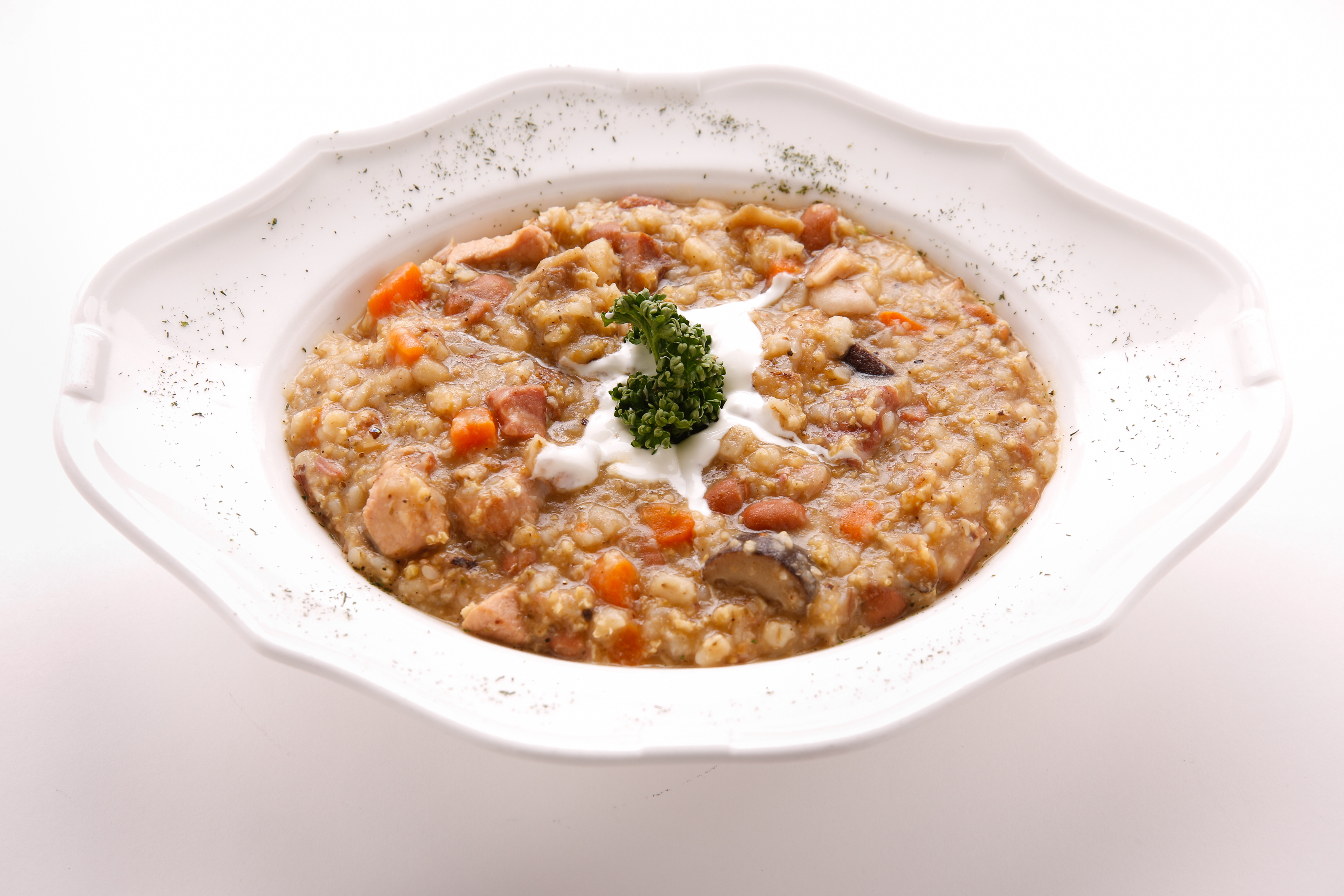 Pohorski Pisker Hotel Zarja Maribor Pohorje Slovenija Slovenia Slowenien Domen Groegl