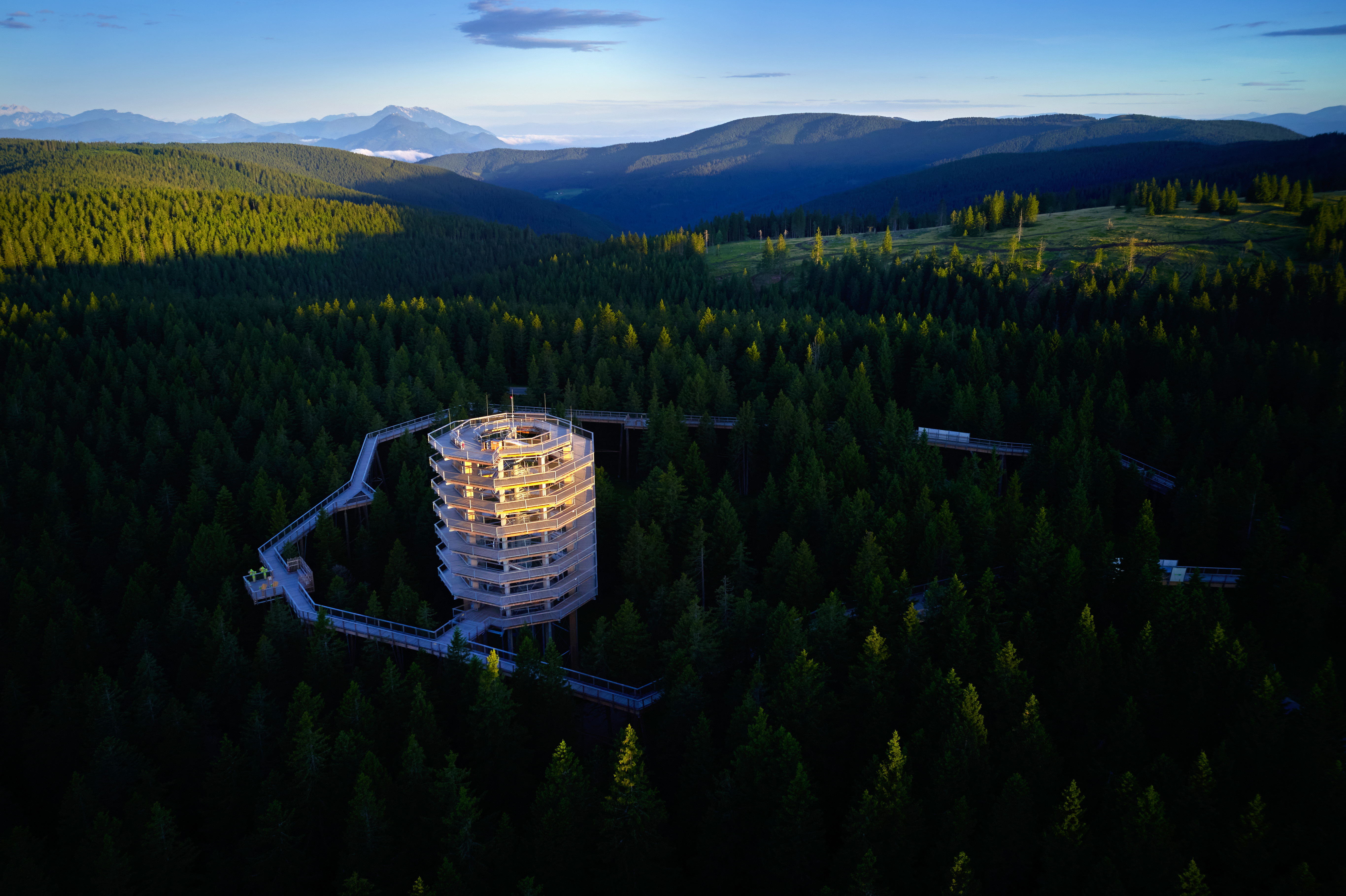 Tomo Jeseninik 1 Pot med krošnjami