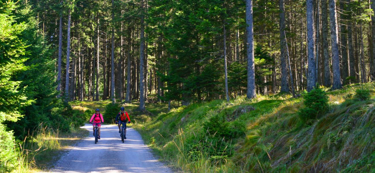Pohorska kolesarska transverzala