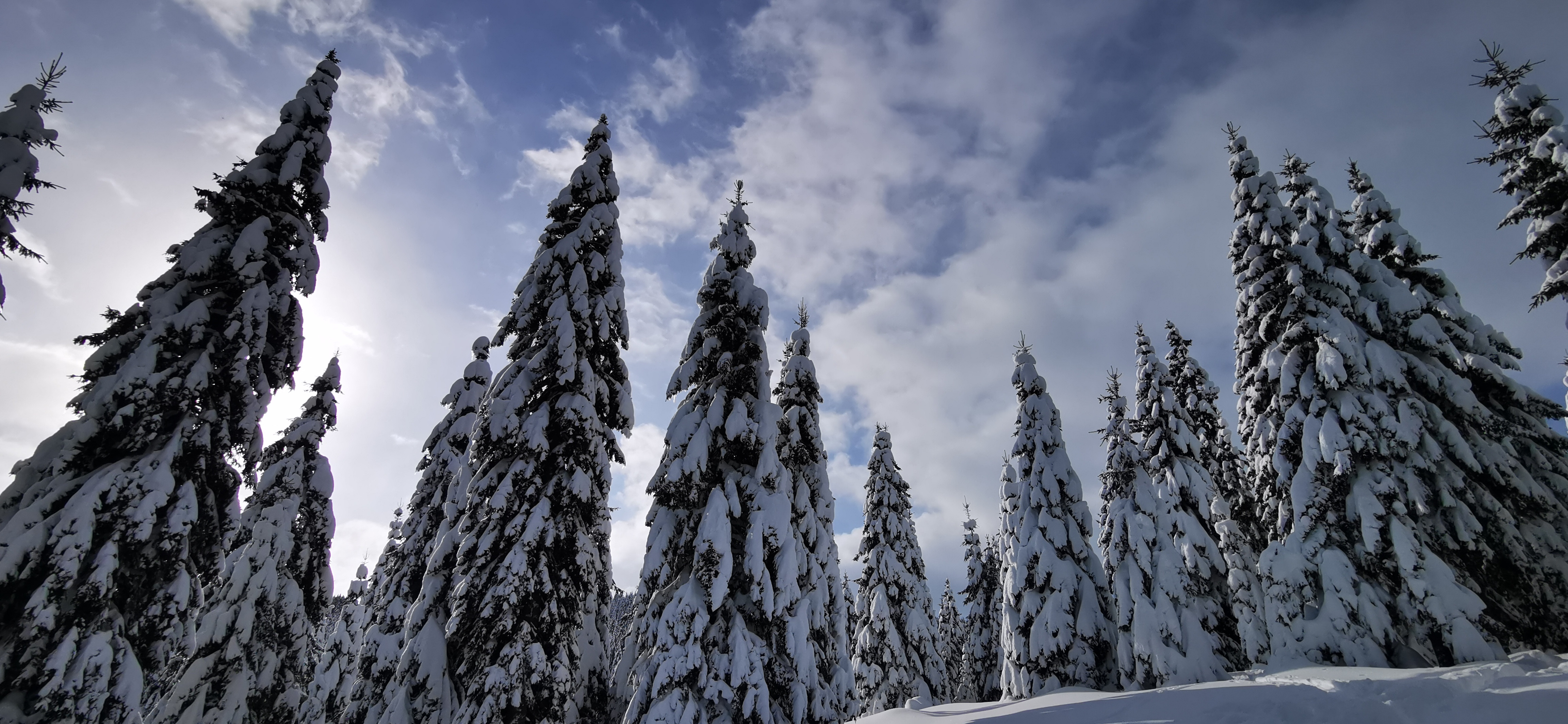 Zasneženo Pohorje – raj za aktivne obiskovalce