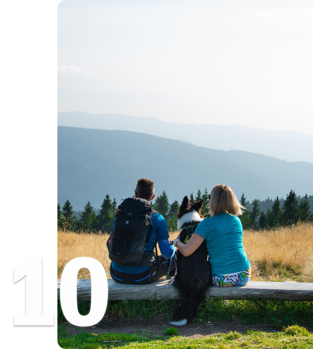 Zadnji dotik topline pred zimo