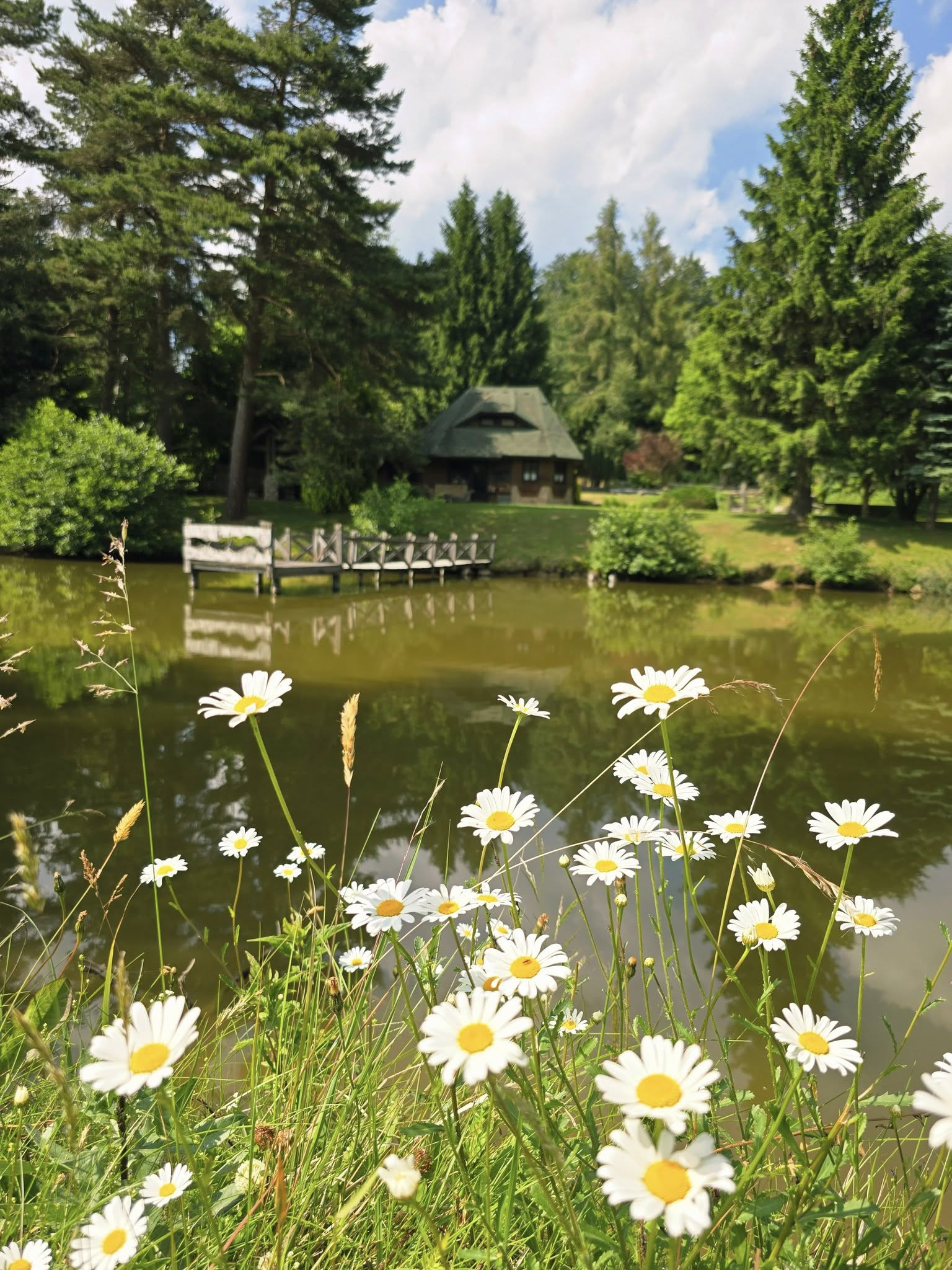 Blazicev Ribnik 3 Amadeja Mlakar