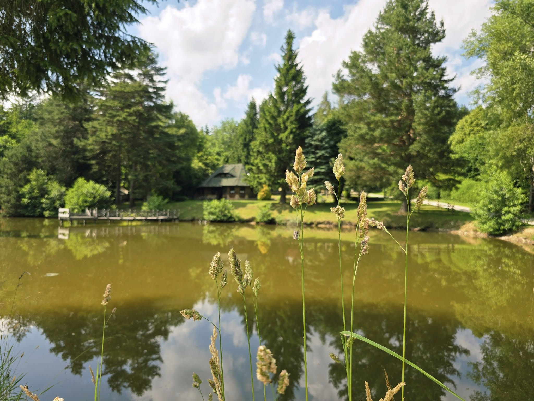 Blazicev Ribnik 4 Amadeja Mlakar