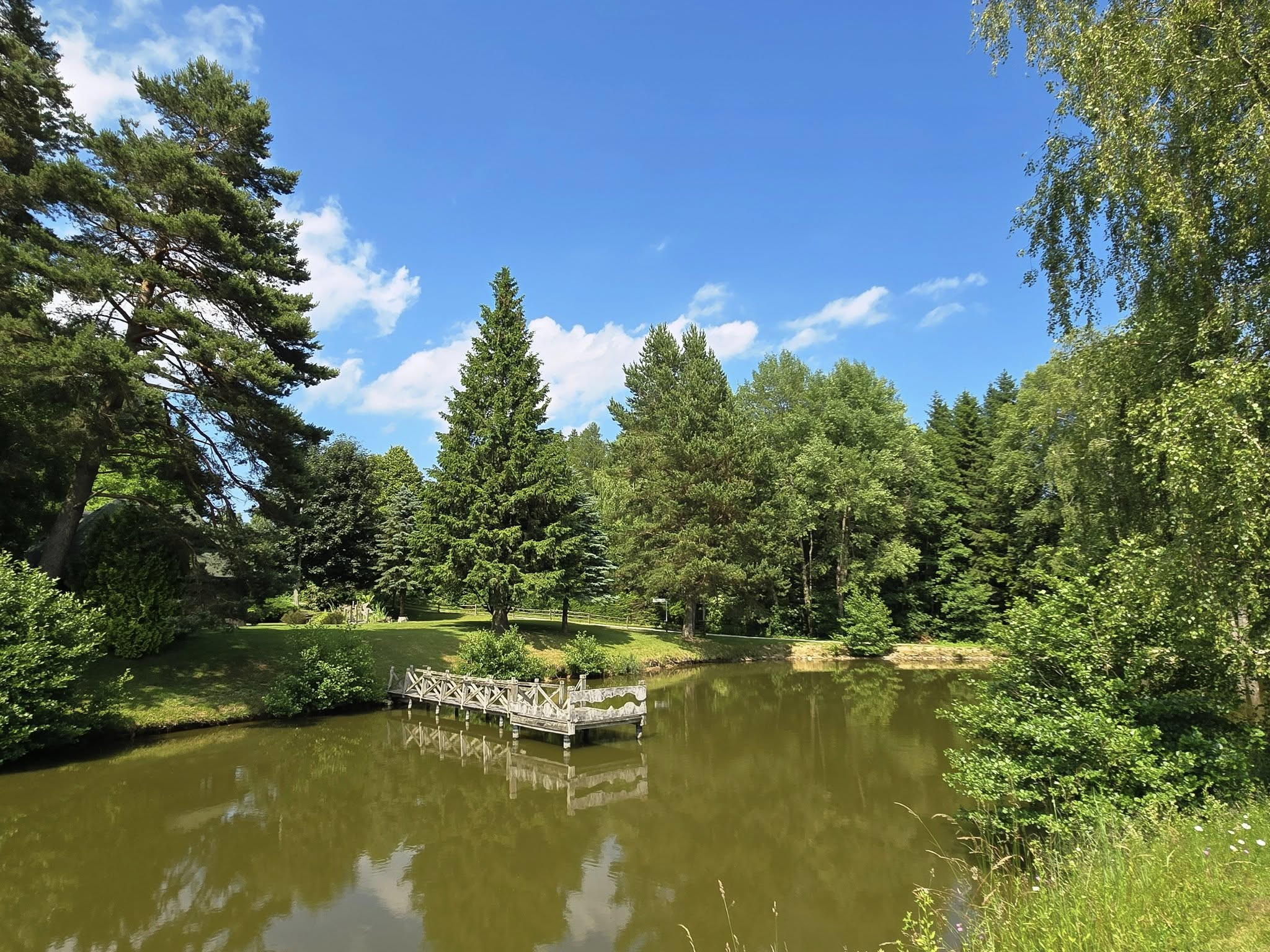 Blazicev Ribnik 5 Amadeja Mlakar