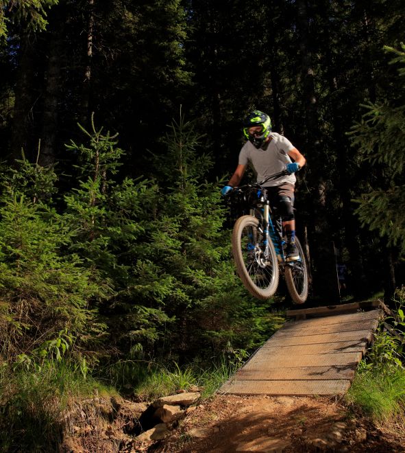 Bike Park Rogla